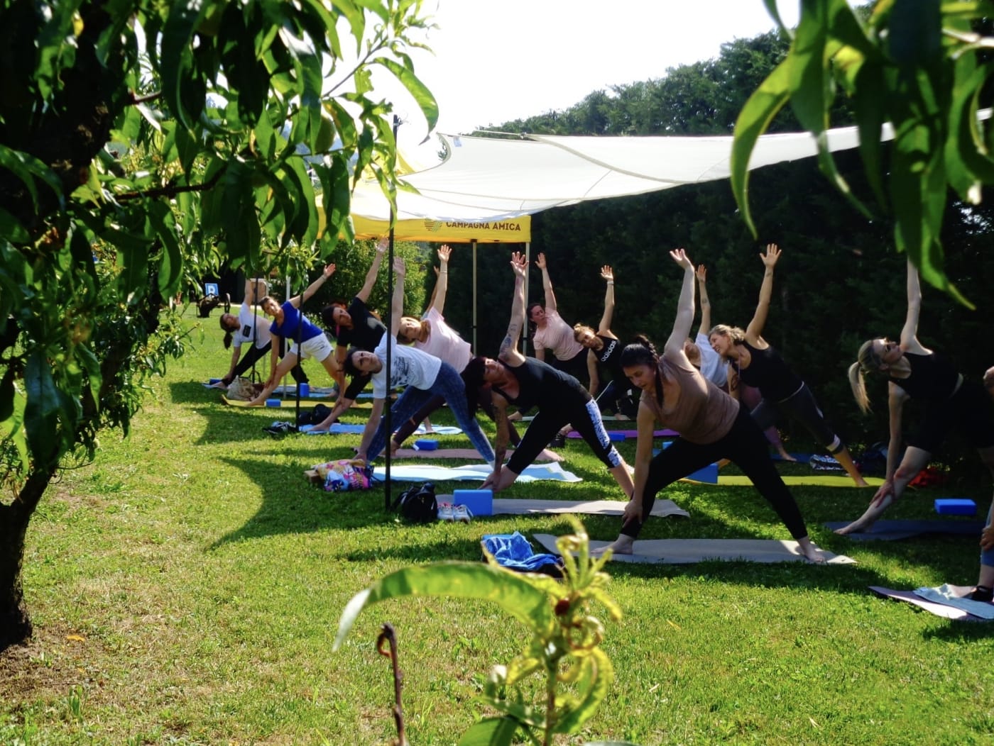 Yoga in Calina — momento 3